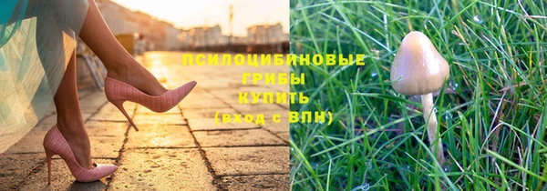 эйфоретик Алексеевка