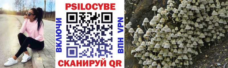 Галлюциногенные грибы прущие грибы  Оса 